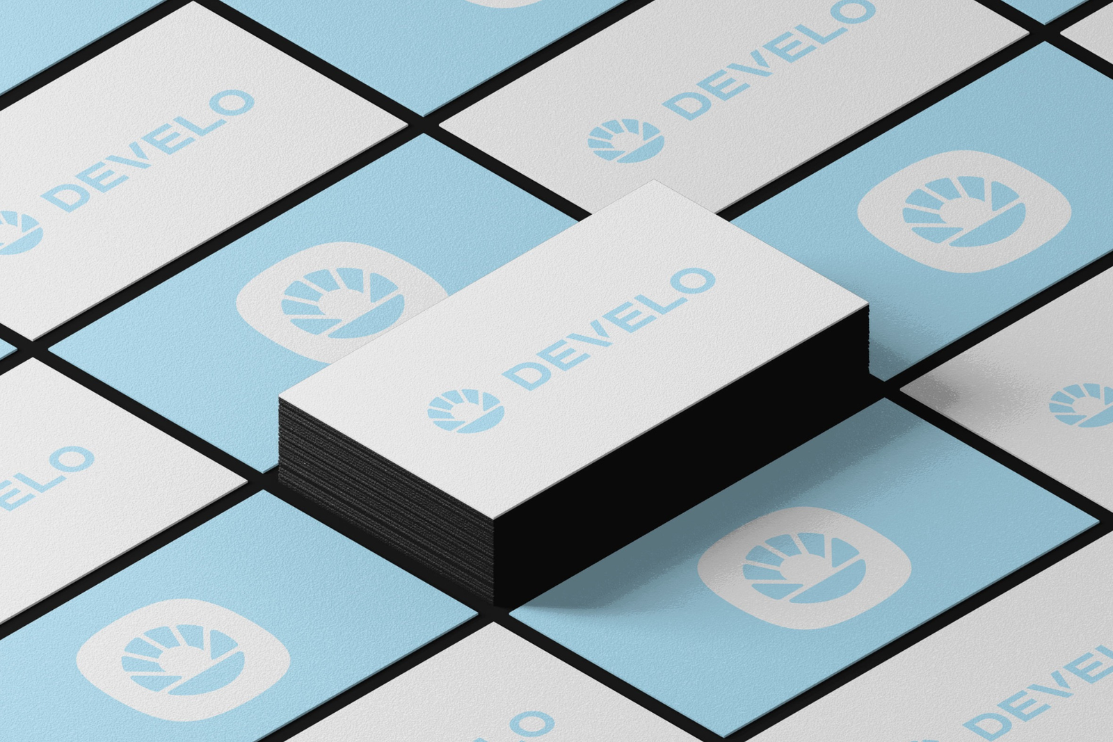 Official Launch of Develo!